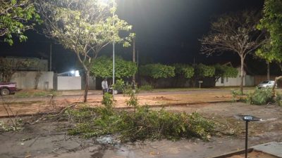 Defesa Civil e equipes da Prefeitura atuam desde ontem ap&oacute;s tempestade que atingiu Tr&ecirc;s Lagoas (3)