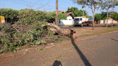 Defesa Civil e equipes da Prefeitura atuam desde ontem ap&oacute;s tempestade que atingiu Tr&ecirc;s Lagoas (9)