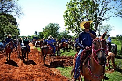 323A7966