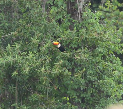 Big Day Parque do Pombo (1)