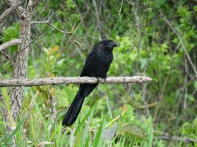 Big Day Parque do Pombo (10)