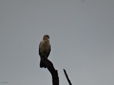 Big Day Parque do Pombo (13)