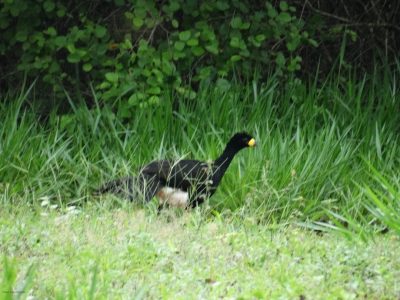 Big Day Parque do Pombo (15)