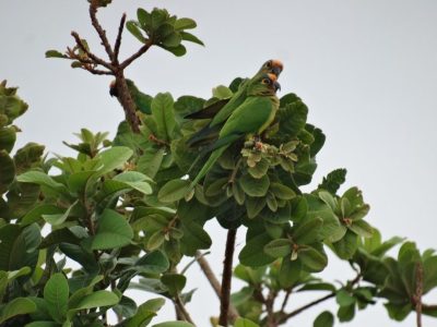 Big Day Parque do Pombo (16)