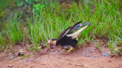 Big Day Parque do Pombo (22)