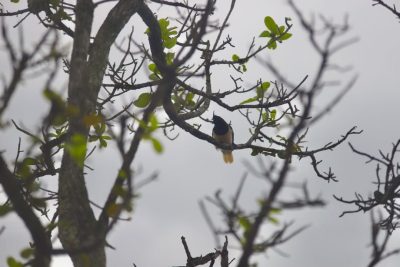 Big Day Parque do Pombo (23)