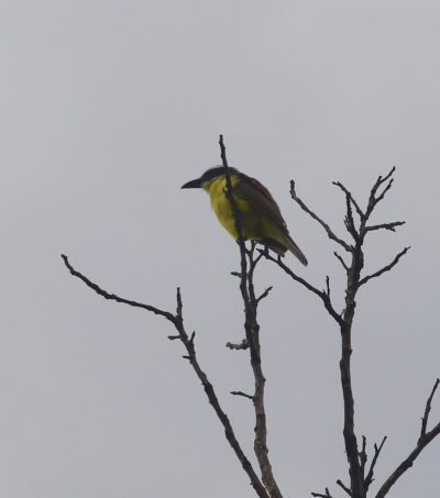 Big Day Parque do Pombo (25)