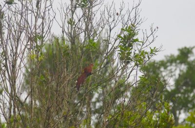 Big Day Parque do Pombo (27)