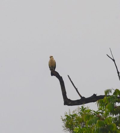 Big Day Parque do Pombo (30)