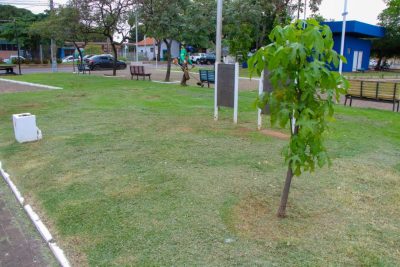 LIMPEZA PRA&Ccedil;AS (13)