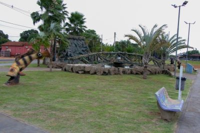 LIMPEZA PRA&Ccedil;AS (17)