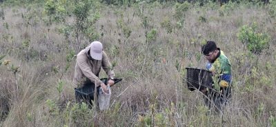 UFGD PARQUE DO POMBO (23)
