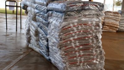 2396-campanha-do-agasalho-2008-comeca-nesta-quinta-feira-8