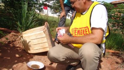 2533-municipio-registra-reducao-nos-casos-de-dengue