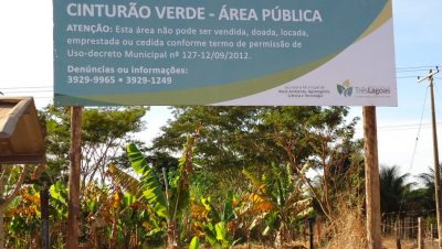 25466-cinturao-verde