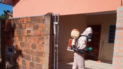 29 Semana Epidemiológica Casos Dengue