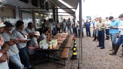 29430-sipat-da-unidade-florestal-da-fibria