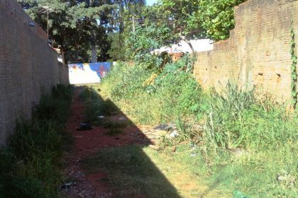 31195-prefeitura-intensifica-conscientizacao-para-limpeza-de-terrenos-baldios