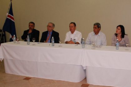 3311-siderurgica-tres-lagoas-recebe-licenca-previa-ambiental
