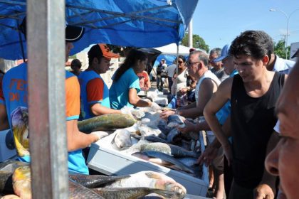 37979-1-feira-do-pescado