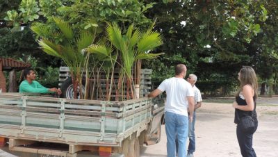 41647-plantio-de-mudas-no-balneario-municipal-miguel-jorge-tabox