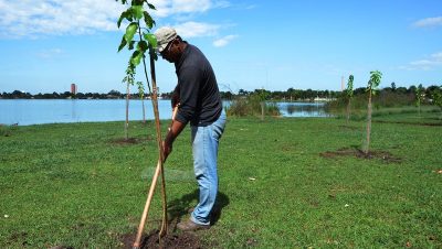 41687-plantio-de-mudas-na-lagoa