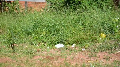 41766-hoje-a-cidade-tem-cerca-de-5-mil-terrenos-baldios