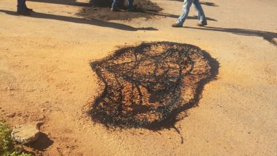 43943-acoes-desta-terca-feira-14