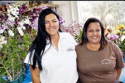 44347-exposicao-de-orquideas