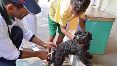 47618-dia-d-de-vacinacao-de-caes-e-gatos