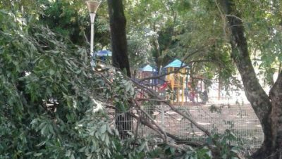 47619-12193699-10208097631103693-6704575732471288215-n