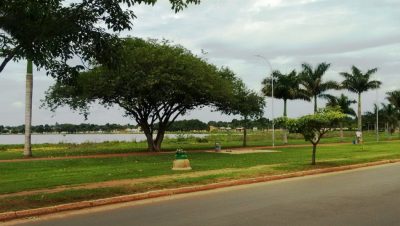 48326-canteiro-central-olintho-manicini