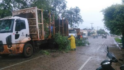 48992-retirada-de-galhada-rua-bruno-garcia