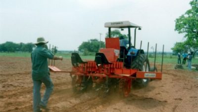 532-prefeitura-e-embrapa-iniciam-experimento-com-mandioca