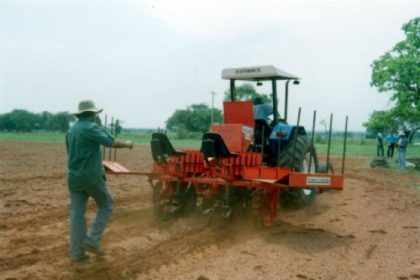 532-prefeitura-e-embrapa-iniciam-experimento-com-mandioca