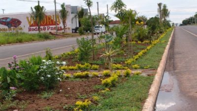 586-canteiro-em-avenida-chama-a-atencao-pela-beleza-e-conservacao