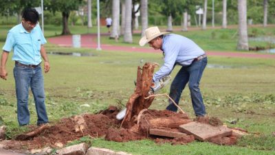 59316-guerreiro-lagoa