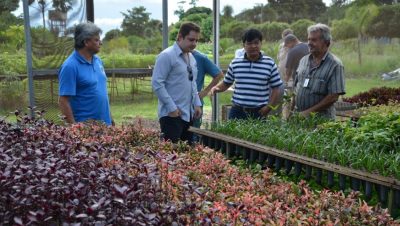 59707-visita-ao-viveiro-de-mudas-1