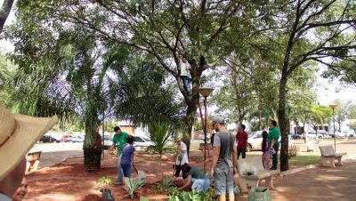 59923-plantio-de-mudas-meio-ambiente-11-02-2017-1