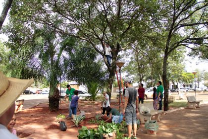 59923-plantio-de-mudas-meio-ambiente-11-02-2017-1