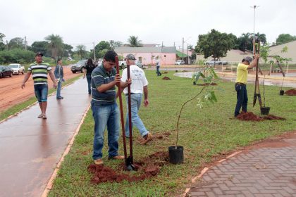 60406-praca-m-p-areas-mais-verdes-19-03-2017-1