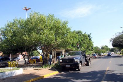 61095-img-4383