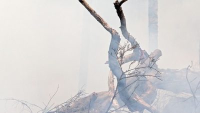 61306-fumaca-de-queimada-pode-ser-toxica