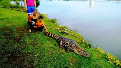 61837-mulher-com-criancas-proximo-ao-jacare-foto-facebook