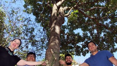 62101-plantio-de-orquidia-lagoa-m-14-07-2017-1