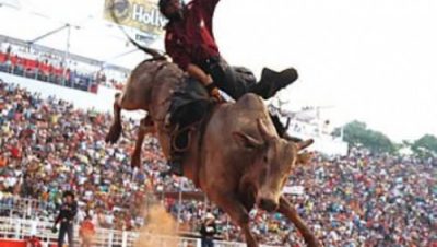 623-festa-do-peao-comemora-os-42-anos-do-distrito-de-arapua