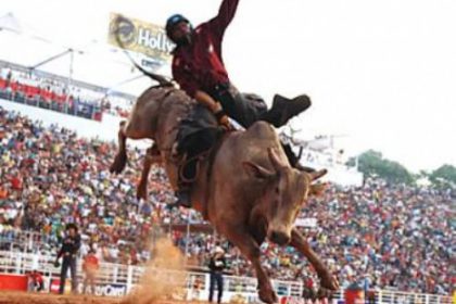 623-festa-do-peao-comemora-os-42-anos-do-distrito-de-arapua
