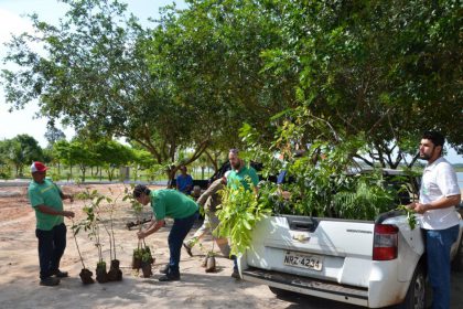 63782-balneario-plantacao-de-arvores-07-10-2017-1