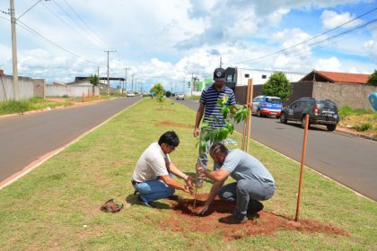 66323-plantacao-mudas-g-estevao-3