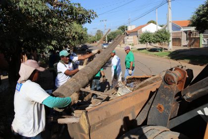 69970-bairro-limpo-9